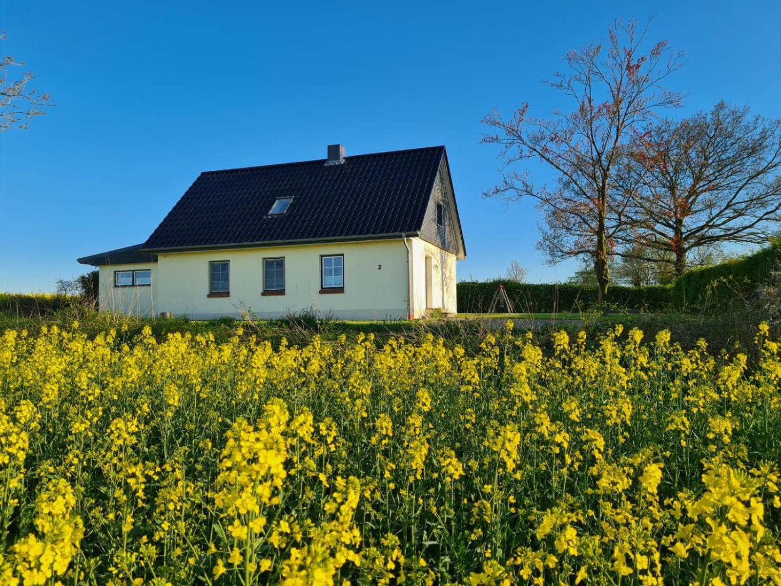 Ferienhaus Loimoos Schnarup-Thumby Экстерьер фото